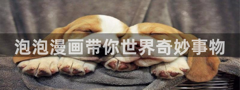 羞羞漫画污版在线观看：泡泡漫画带你世界奇妙事物