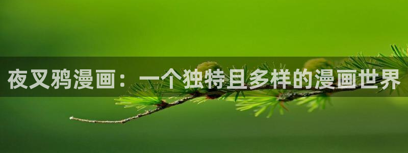 羞羞漫画网站地址：夜叉鸦漫画：一个独特且多样的漫画世界